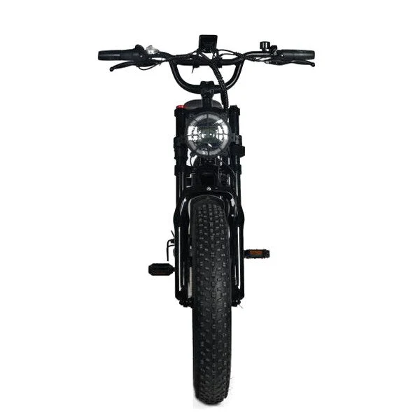 Electric Mountain Bike For Adults, 20 x 4.0 Fat Tires, 1000W Motor, 48V 20Ah Battery, Black - G-M1Sp