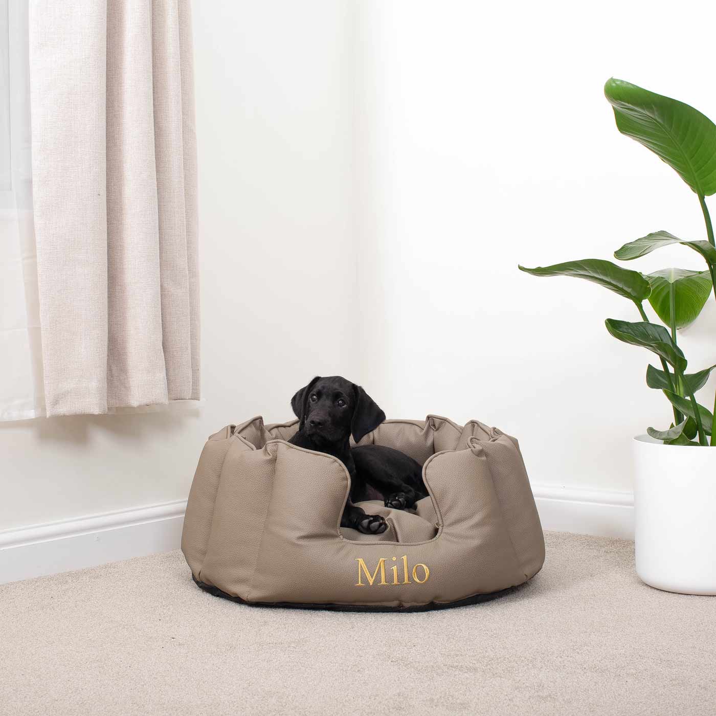 High Wall Bed in Rhino Tough Desert Faux Leather