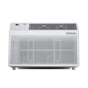 0.6 HP Split Air Conditioner Inverter AI Features